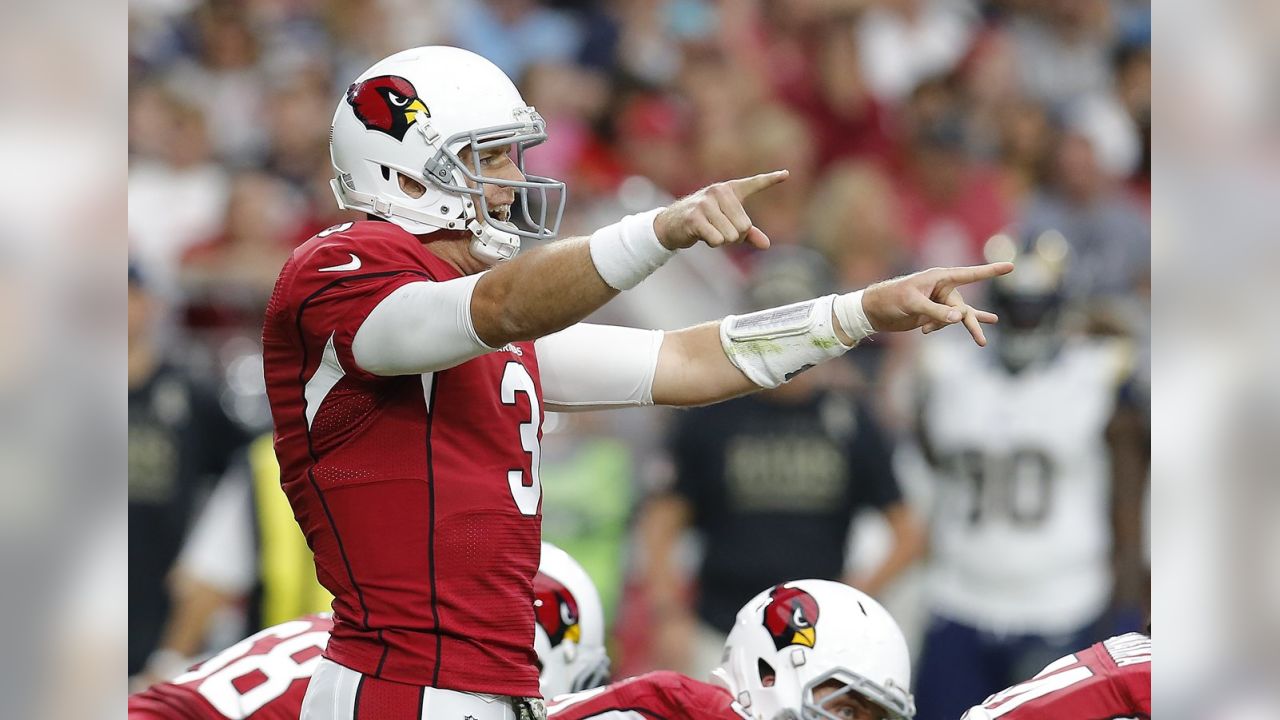 Cardinals QB Carson Palmer announces retirement - Niners Nation