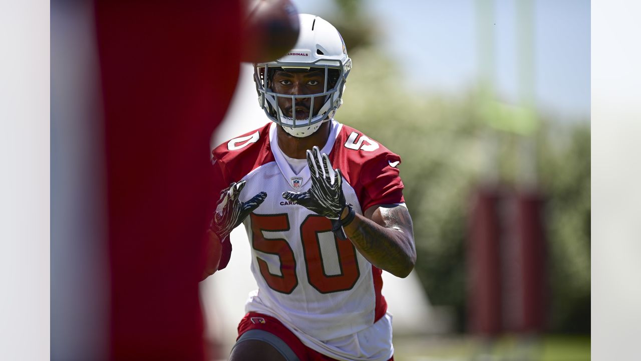 Cameron Thomas Labeled Arizona Cardinals' 2023 Breakout Candidate - Sports  Illustrated Arizona Cardinals News, Analysis and More