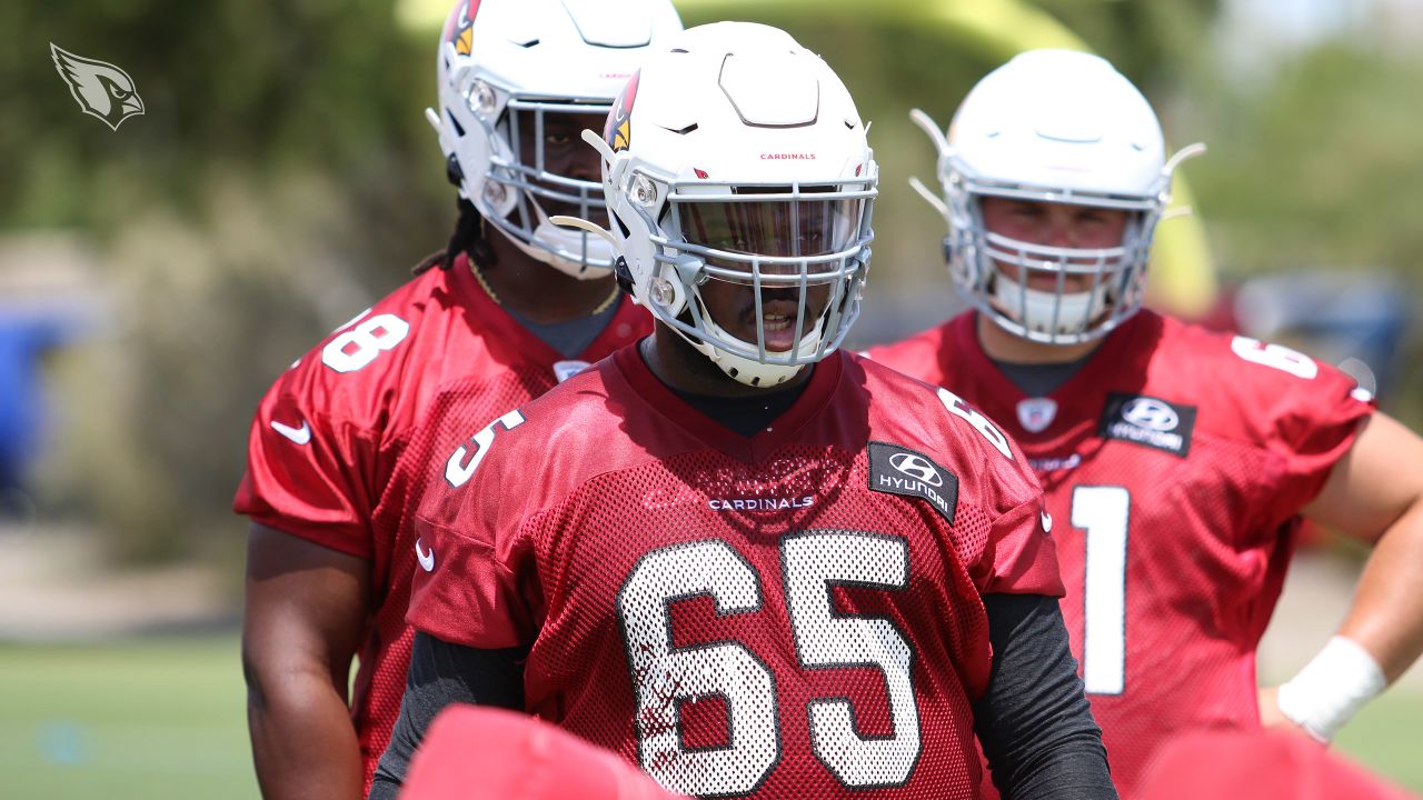 Cardinals finally address OL with Lamont Gaillard