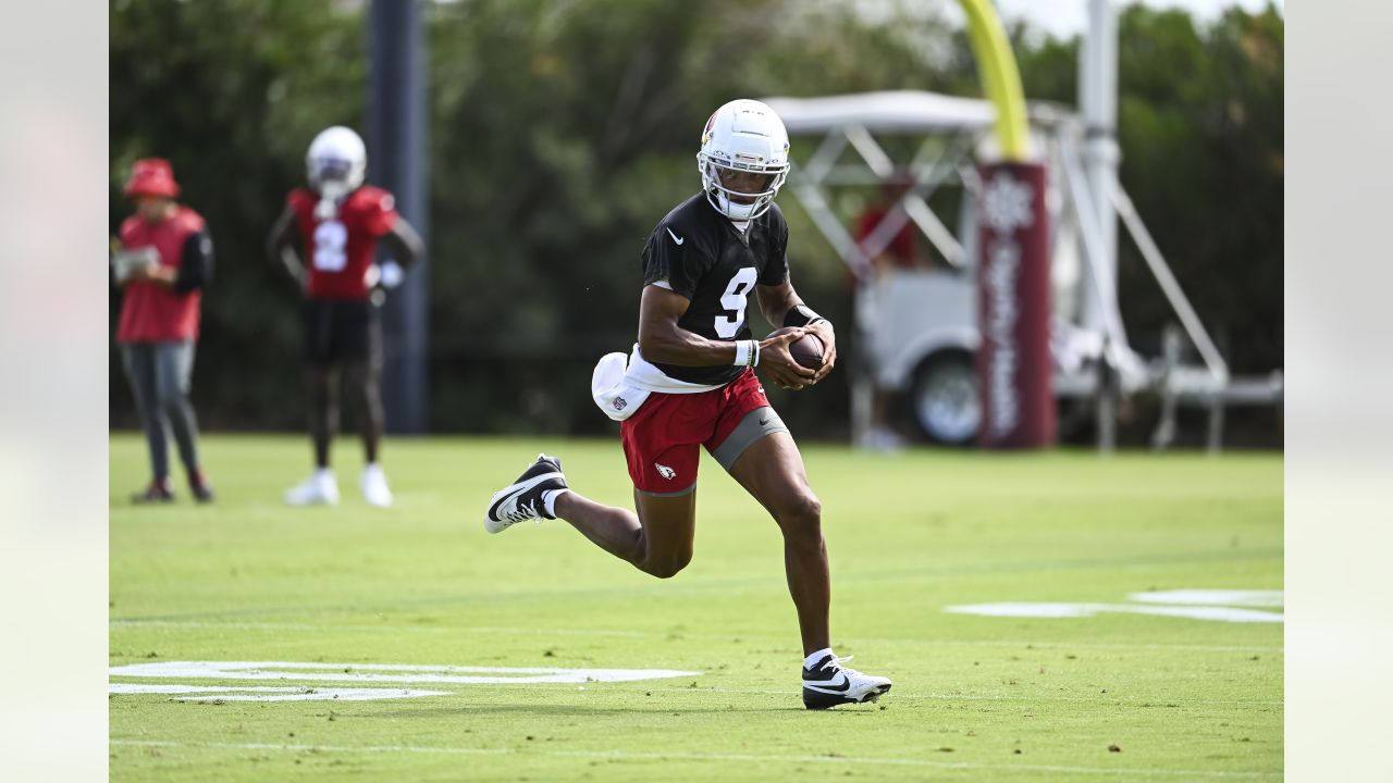 Arizona Cardinals' David Johnson (31) works out during an NFL football  organized team activity, Wednesday, June 5, 2019, in Tempe, Ariz. (AP  Photo/Matt York Stock Photo - Alamy