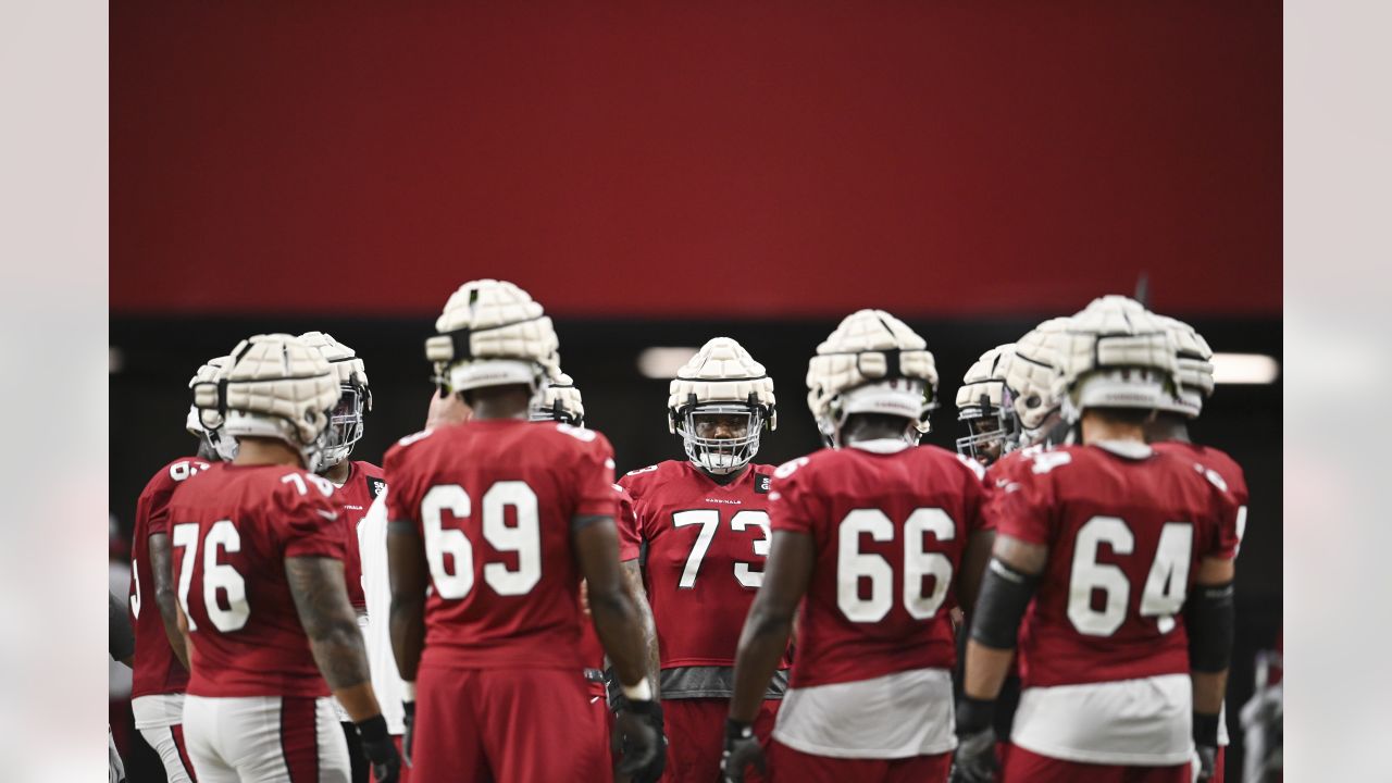 Arizona Cardinals tackle D.J. Humphries has been named to the 2022