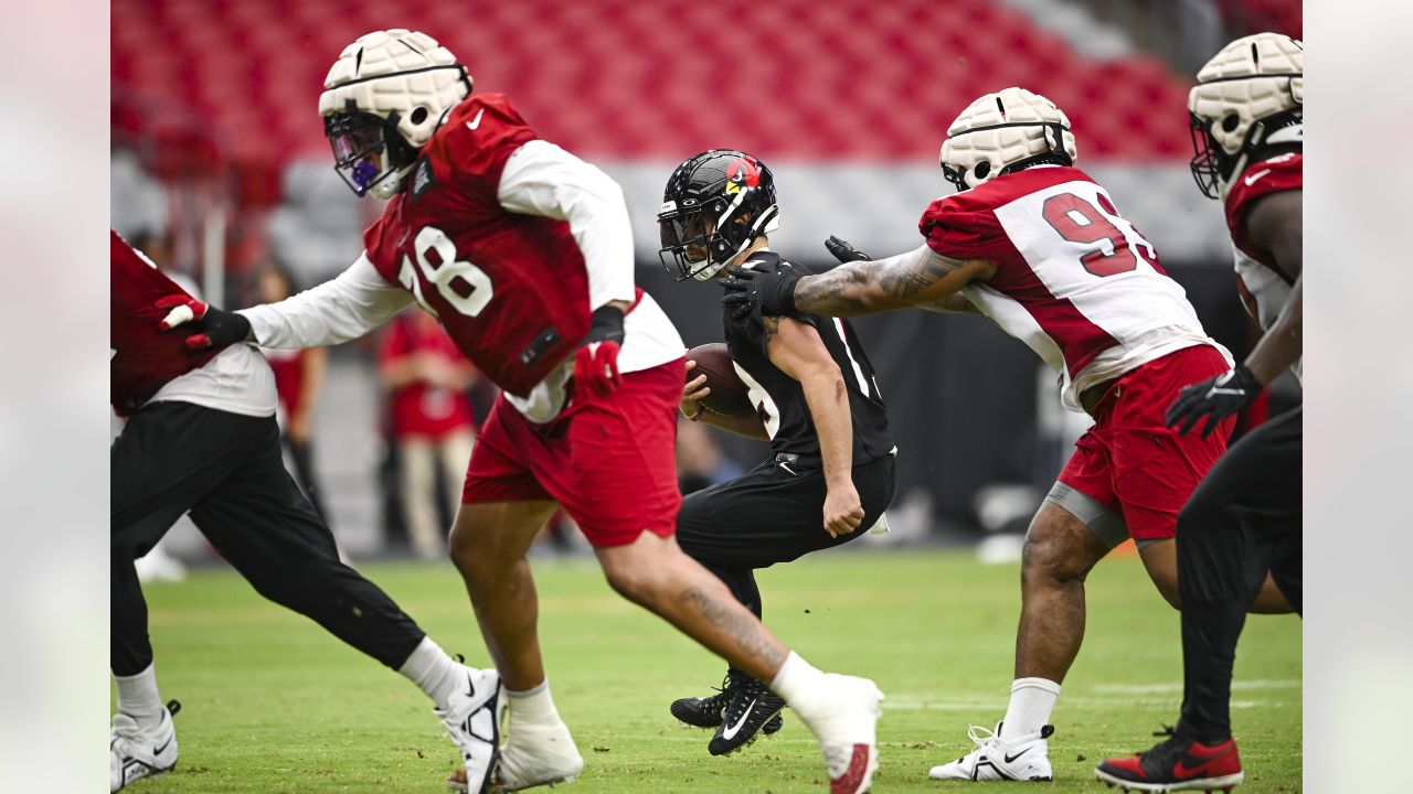 Cardinals News: Bye week get away, Hollywood Brown has no pitch count -  Revenge of the Birds