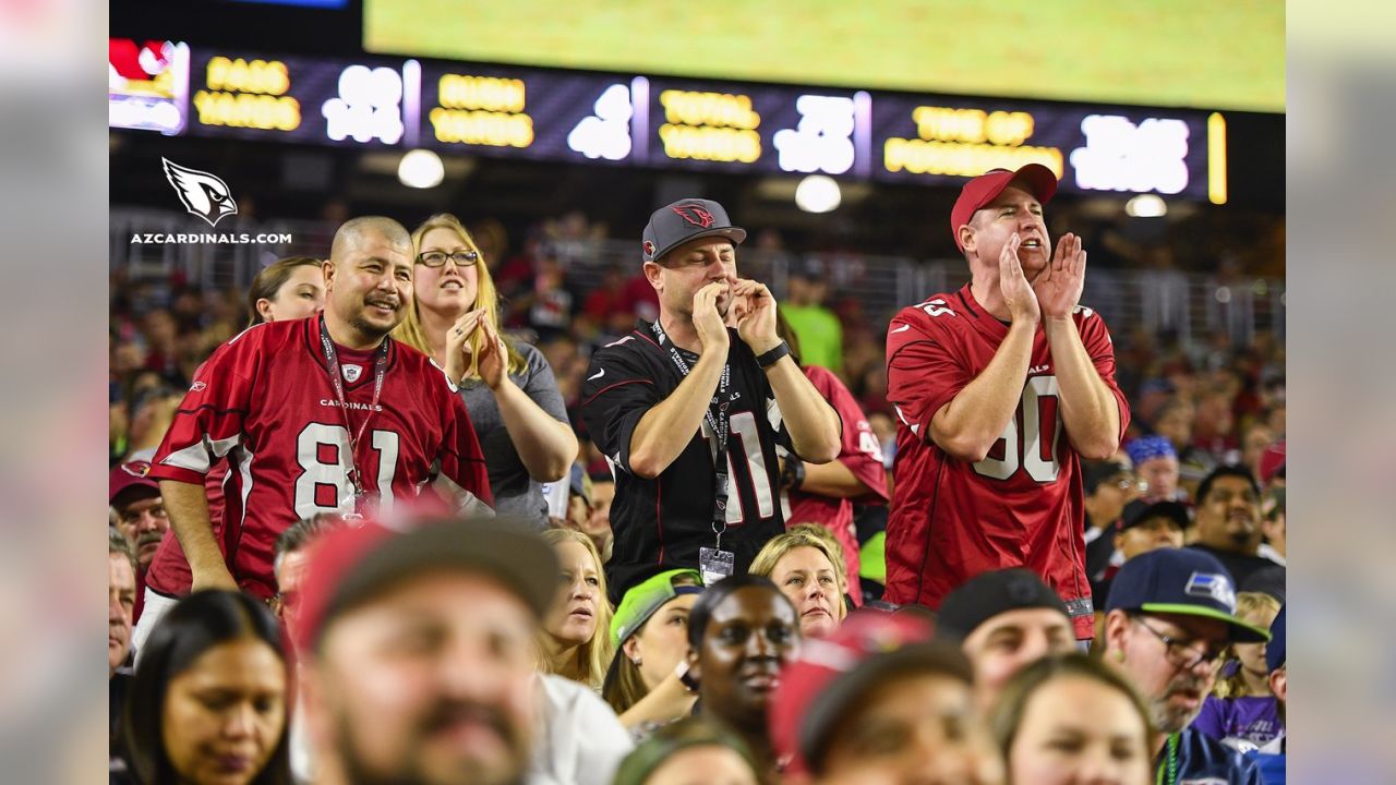 Pin by NFL UK FANS on Arizona Cardinals  Arizona cardinals stadium,  University of phoenix stadium, Arizona cardinals