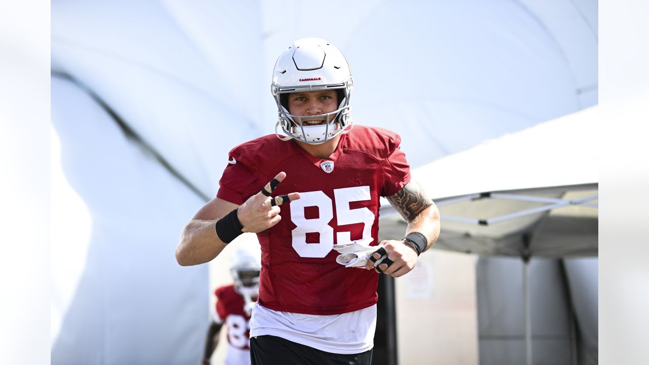 Arizona Cardinals no longer picture of health