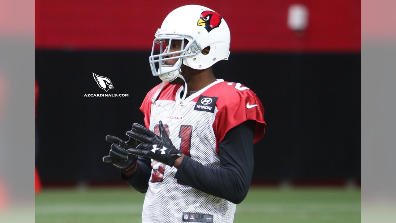 Byron Leftwich will call plays for Cardinals in preseason game vs