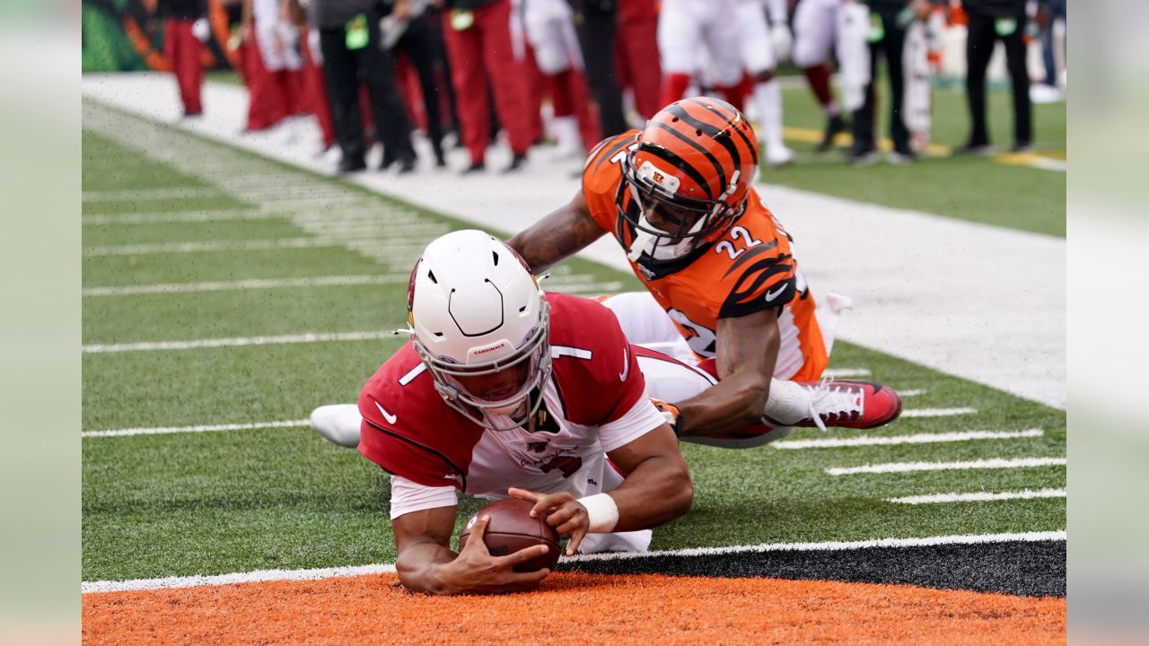 2,147 Bengals Cardinals Stock Photos, High-Res Pictures, and Images - Getty  Images