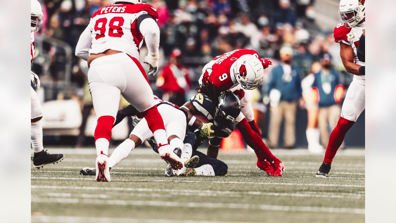 Cardinals' Trace McSorley will start at quarterback vs. Tampa Bay Buccaneers  - Revenge of the Birds