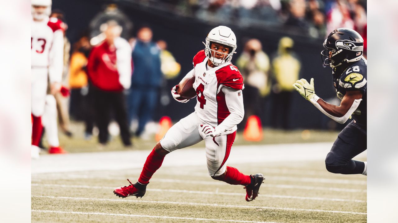 Through The Lens: Cardinals vs. Seahawks