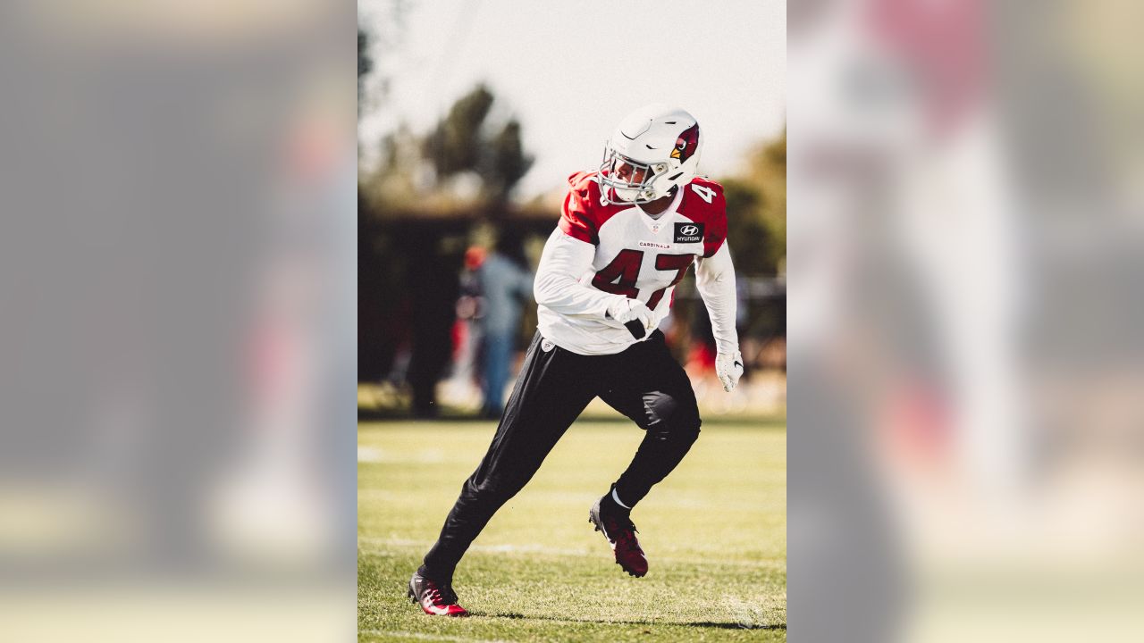 Patrick Peterson: Loss To 49ers 'On Me'