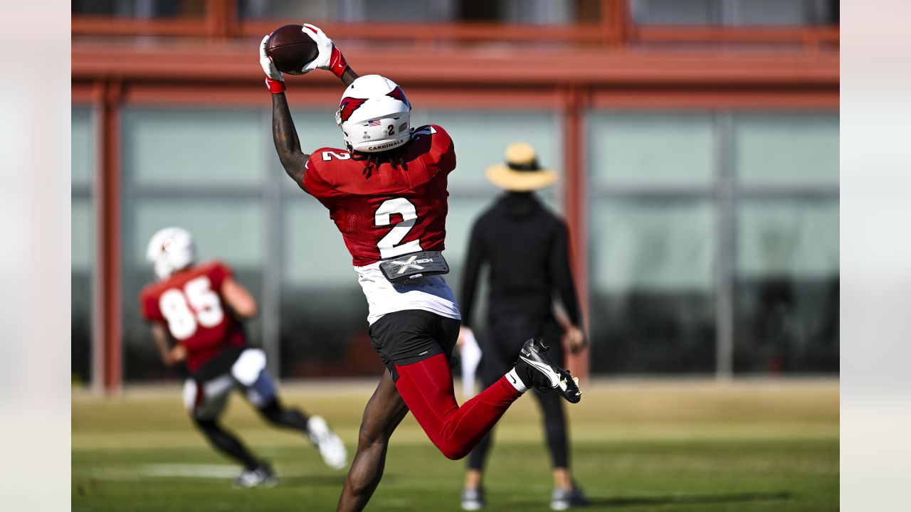 Cardinals' Myjai Sanders Posts Career-Best Performance Against LA Rams -  All Bearcats