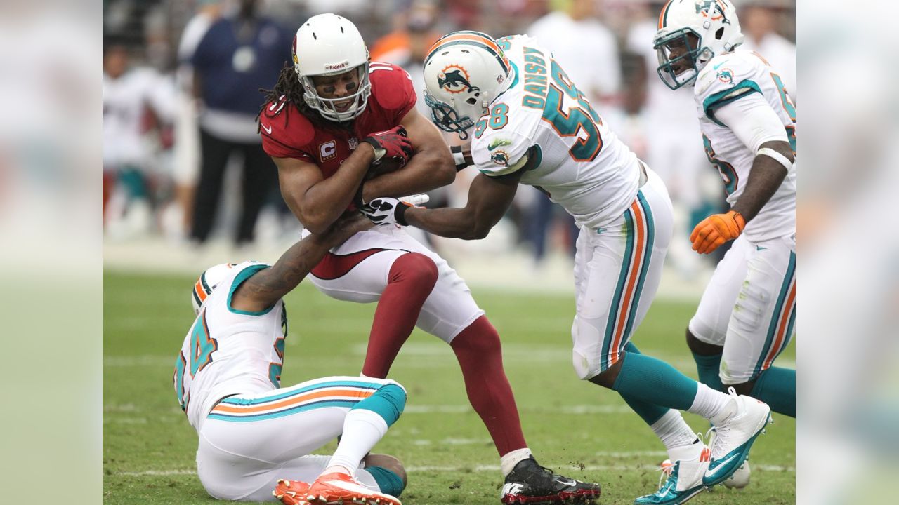 Arizona Cardinals LB Karlos Dansby becomes 'a legend' with 20th INT