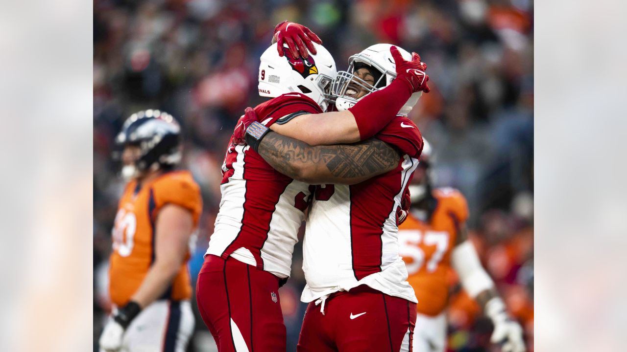 Arizona Cardinals defensive end Jonathan Ledbetter (93) during an