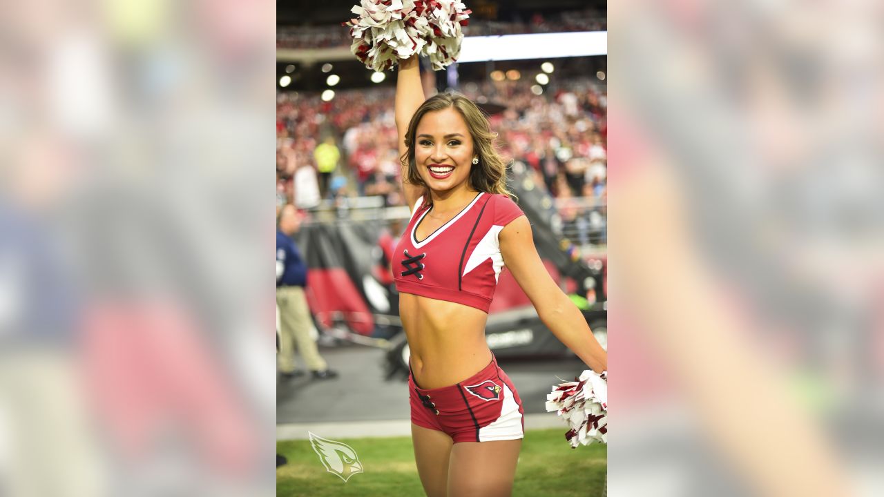 2,115 Arizona Cardinals Cheerleaders Stock Photos, High-Res