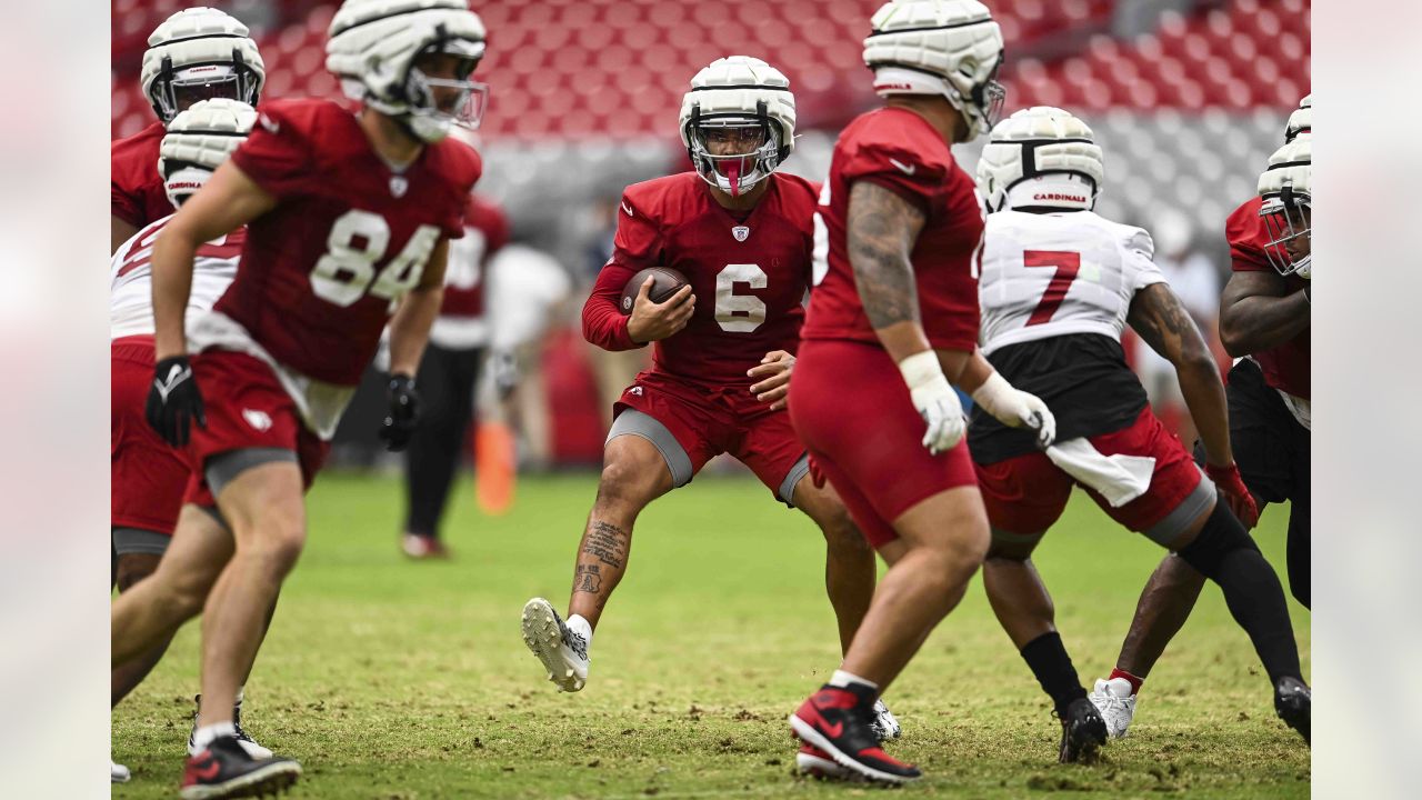 Tickets available for Cardinals' training camp