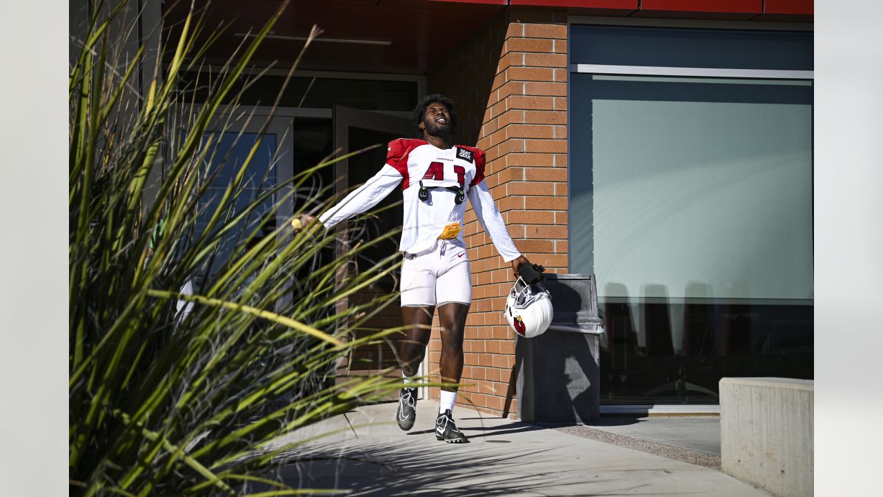 Arizona Cardinals linebacker Myjai Sanders (41) and Cardinals