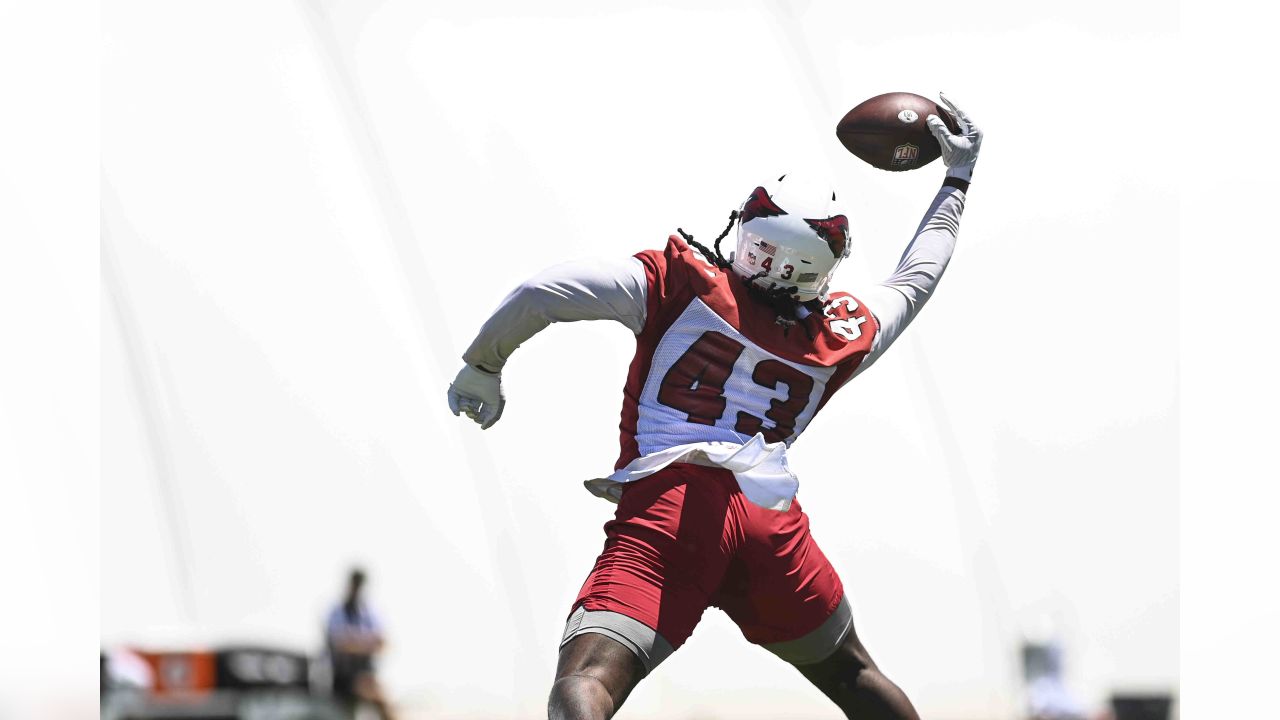 Arizona Cardinals wide receiver Greg Dortch runs with the football during  OTA practice at the NFL football team's training facility Thursday, June 1,  2023, in Tempe, Ariz. (AP Photo/Ross D. Franklin Stock