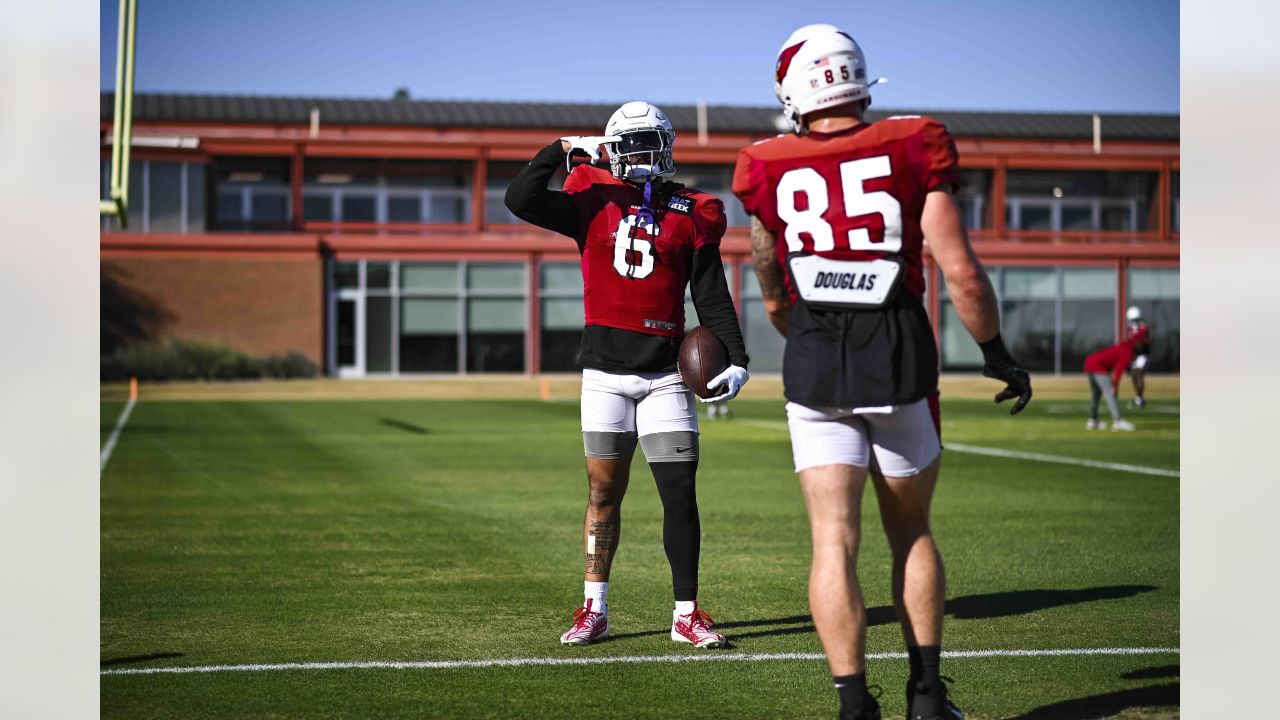 Arizona Cardinals: McBride could have a strong outing if Ertz can't go