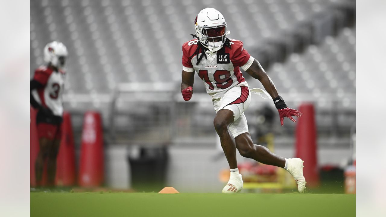 Arizona Cardinals safety Tae Daley (48) in action as the Arizona