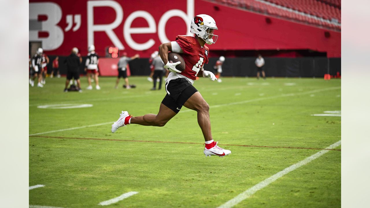 Arizona Cardinals running back James Conner will have a bobblehead night in  hometown