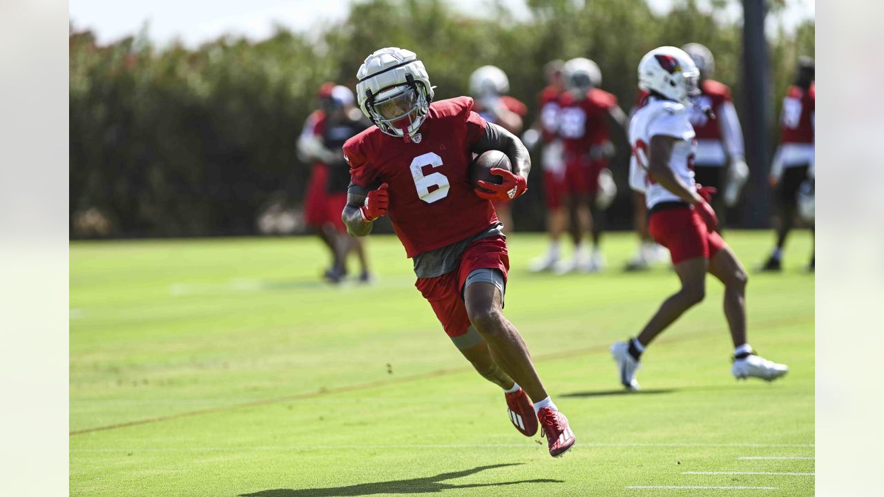 PHOTOS: Cardinals Training Camp - August 16