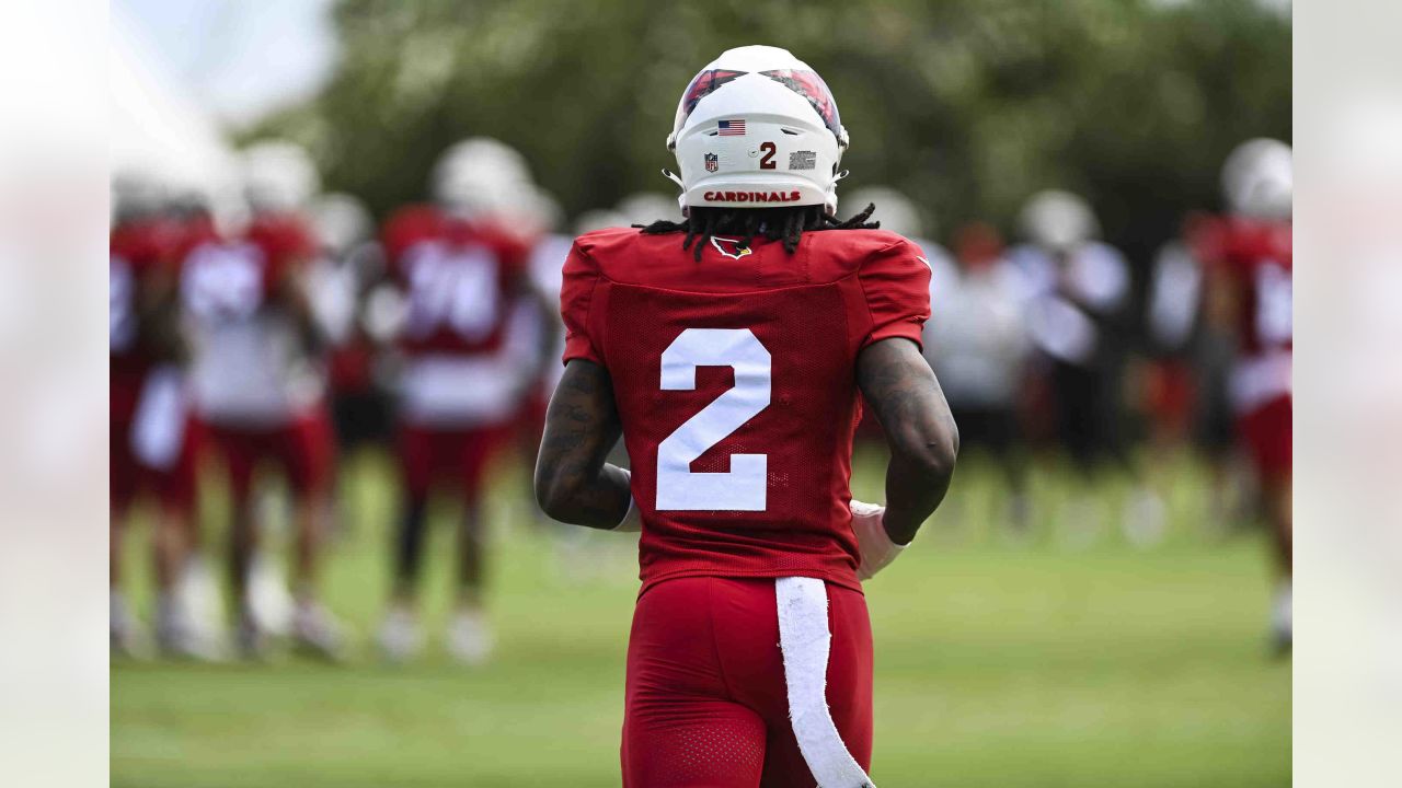 L.J. Collier out to show Arizona Cardinals he belongs in the NFL