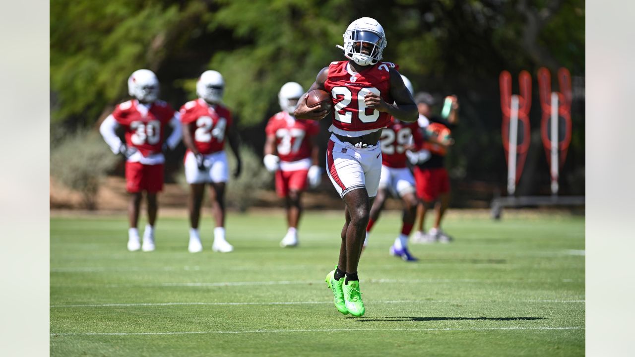 Cardinals Position Overview 2022: Running Back