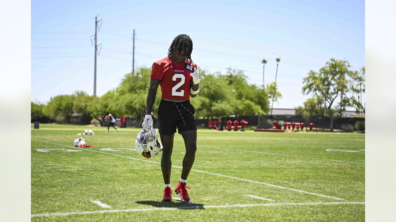  Authentic Steve Breaston Autograph Arizona Cardinals Alternate  Black Jersey : Sports & Outdoors