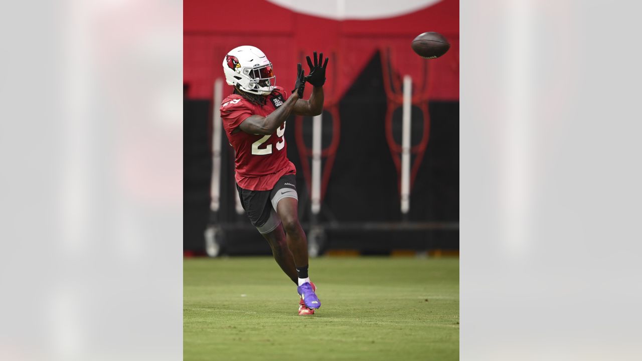 PHOTOS: Cardinals Training Camp - July 29