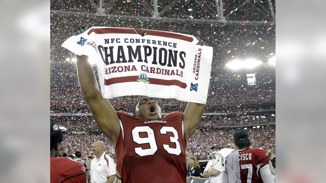 Bertrand Berry 2008 NFC Champions Arizona Cardinals 8X10 Photo |