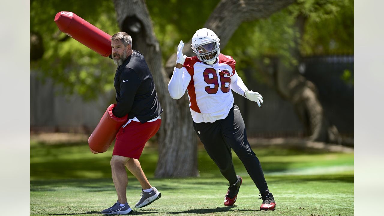 Dennis Gardeck's grind from torn ACL highlighted in 'Cardinals