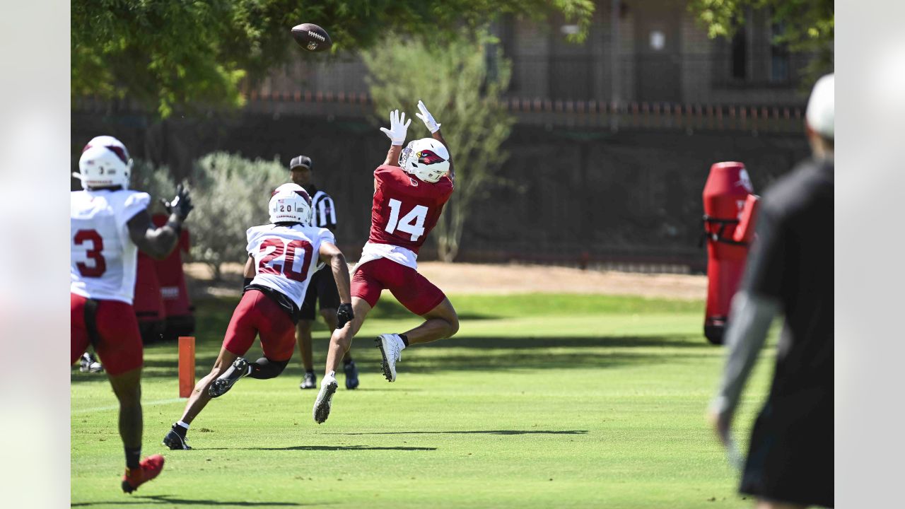 Arizona Cardinals wide receivers Michael WIlson (14) and Rondale