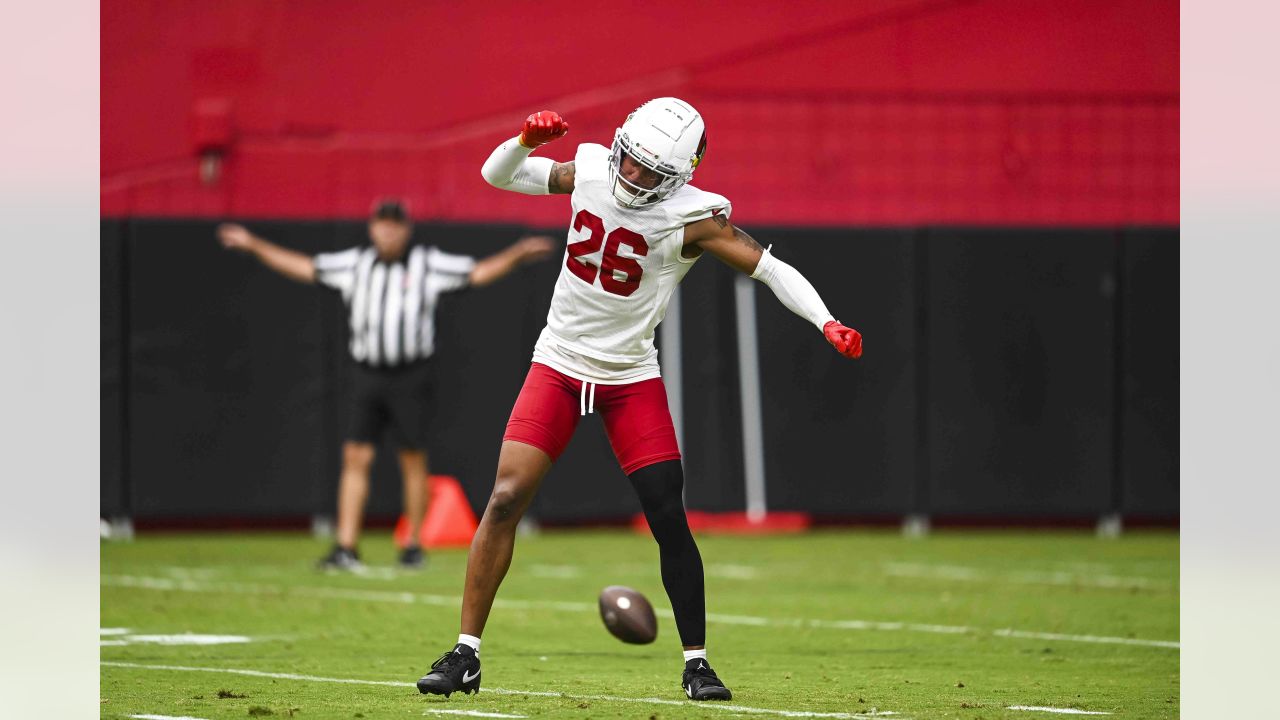 Cardinals report to Glendale, will host 1st public camp session Thursday