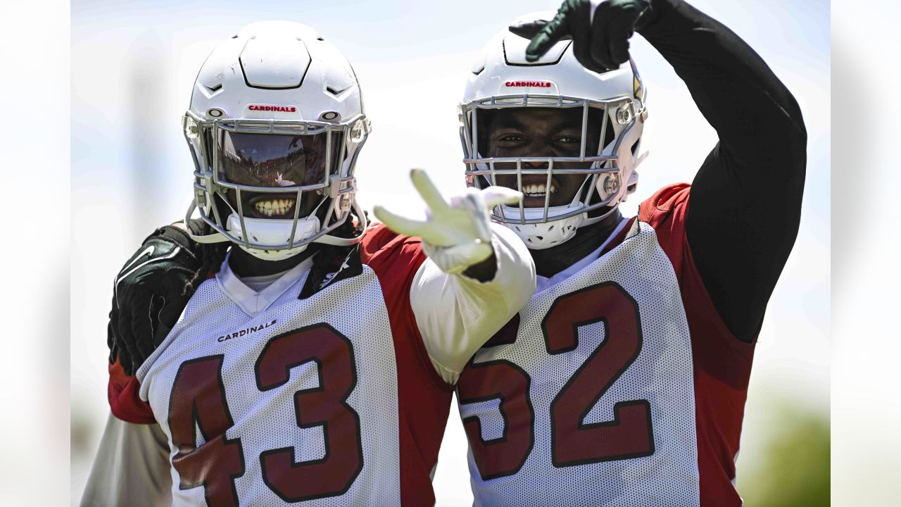 Photos: Arizona Cardinals 2023 offseason