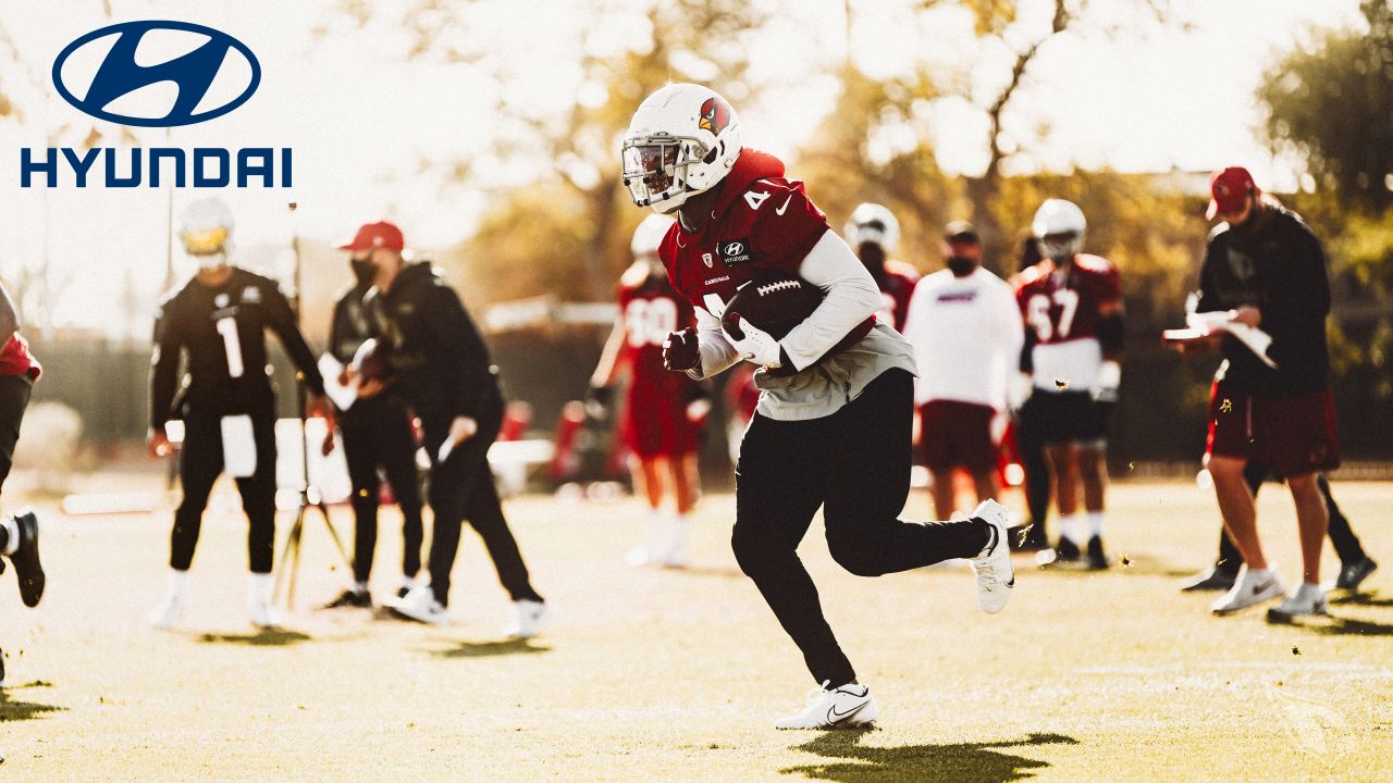 Arizona Cardinals superfan creates Larry Fitzgerald Christmas song