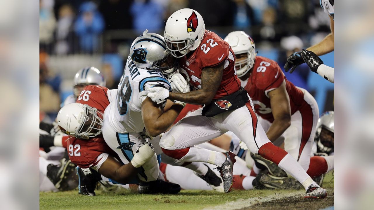 Cardinals vs. Panthers results: Recapping the 49-15 loss in NFC  Championship game - Revenge of the Birds