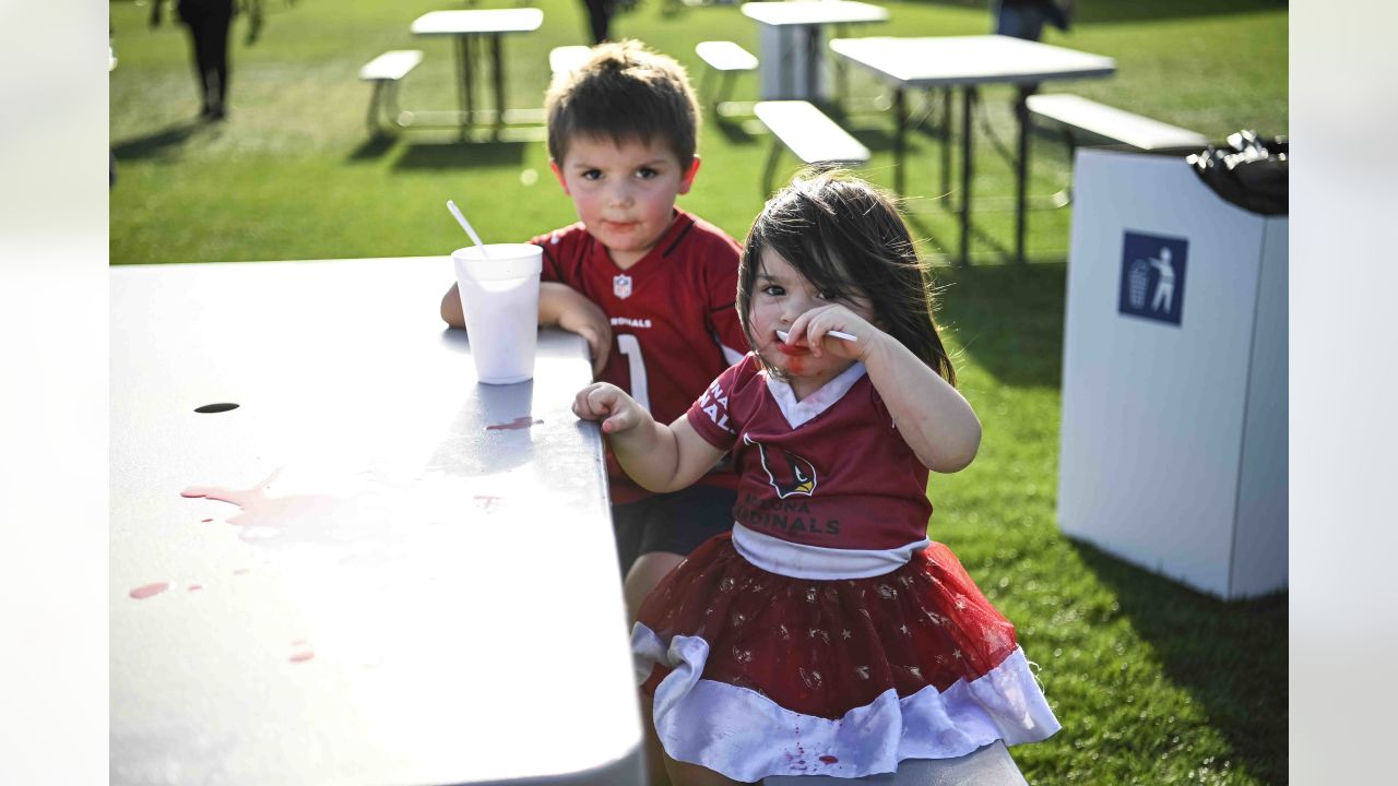 Cardinals Draft Party Back On Great Lawn April 27