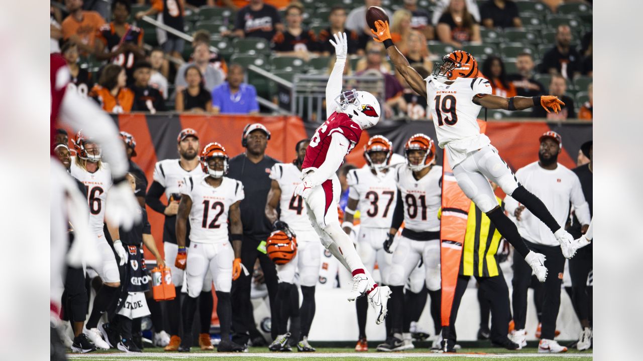 Arizona Cardinals defensive tackle Leki Fotu (95) looks up at a replay  during an NFL football game against the Cincinnati Bengals, Friday, Aug.  12, 2022, in Cincinnati. (AP Photo/Zach Bolinger Stock Photo - Alamy