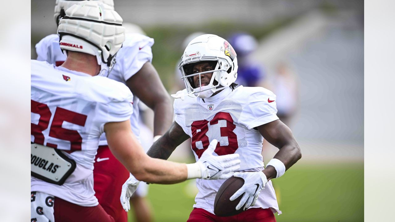 Cardinals players on the roster bubble: Defense and special teams - Revenge  of the Birds