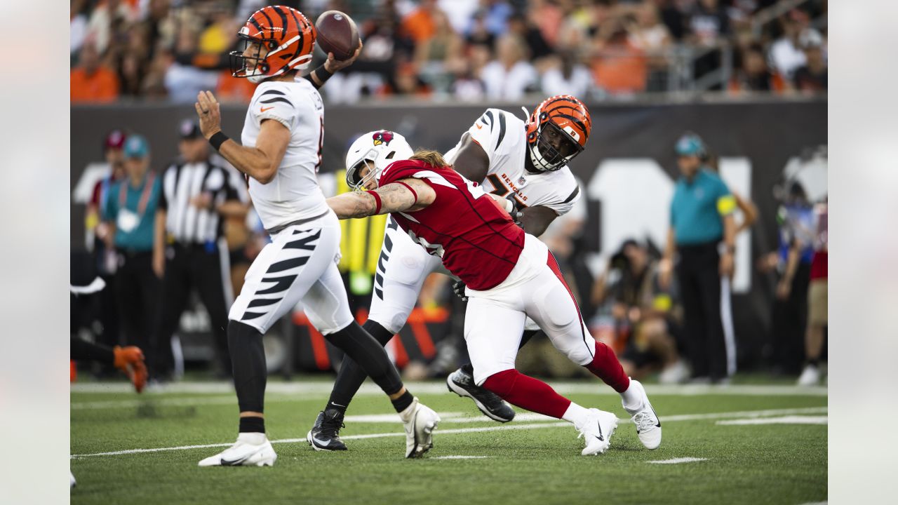 Arizona Cardinals defensive tackle Leki Fotu (95) looks up at a replay  during an NFL football game against the Cincinnati Bengals, Friday, Aug.  12, 2022, in Cincinnati. (AP Photo/Zach Bolinger Stock Photo - Alamy