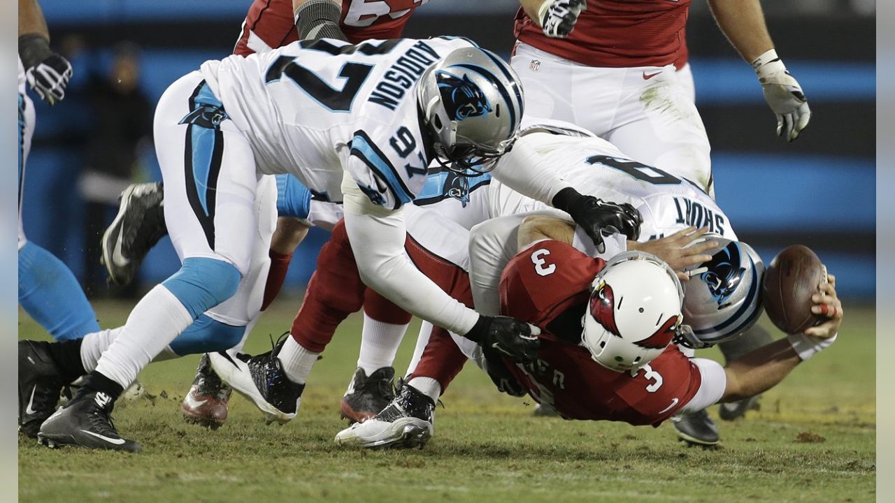 Cardinals vs. Panthers results: Recapping the 49-15 loss in NFC Championship  game - Revenge of the Birds