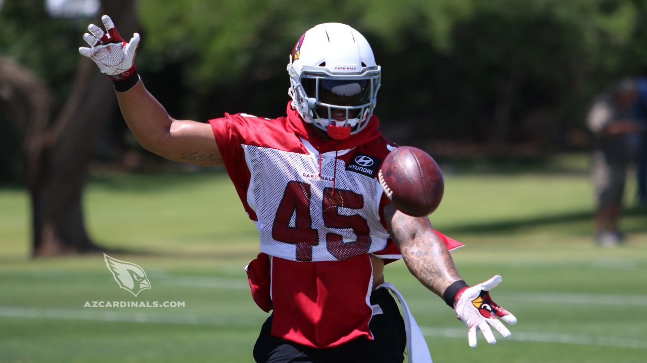 Arizona Cardinals players dazzle with pregame attire