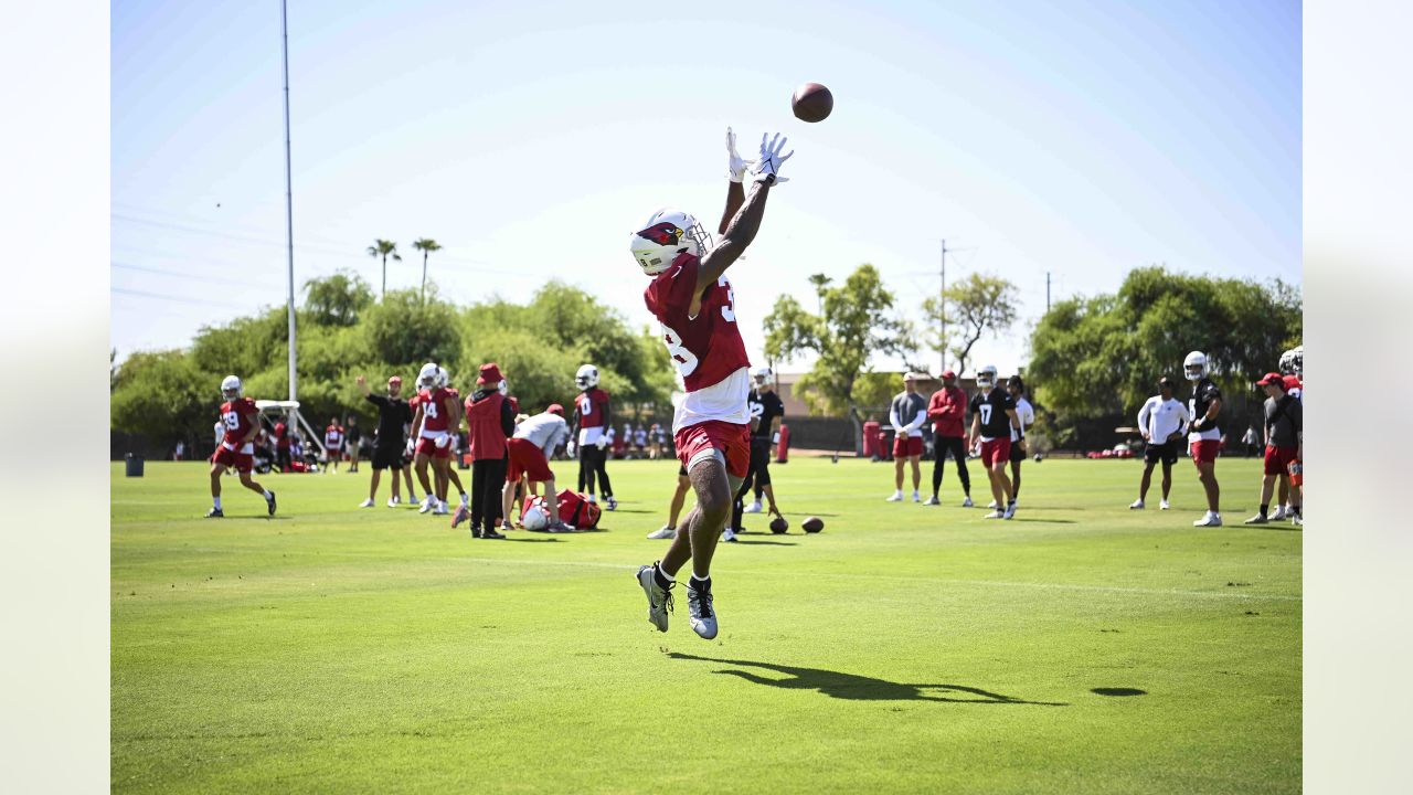 PHOTOS: Cardinals Training Camp - August 17