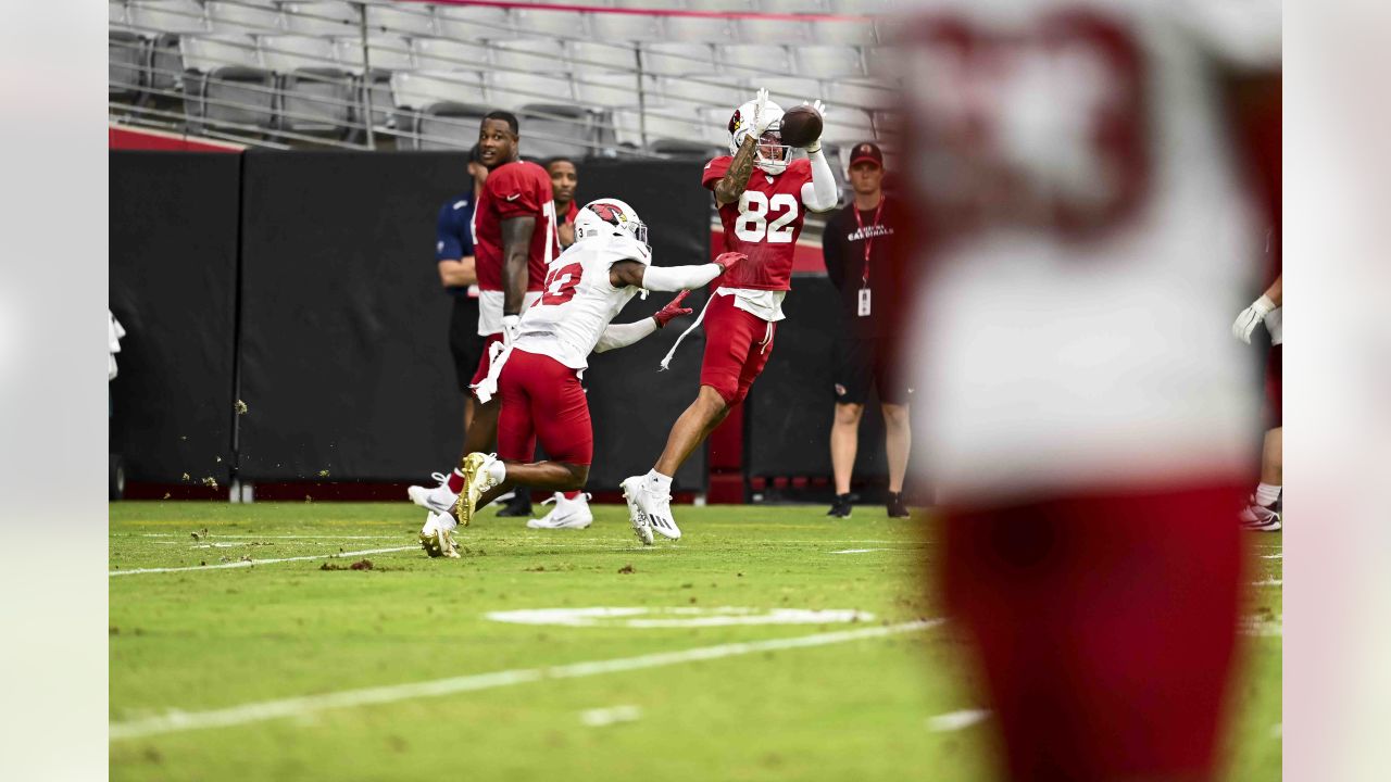 PHOTOS: Cardinals Training Camp - August 1