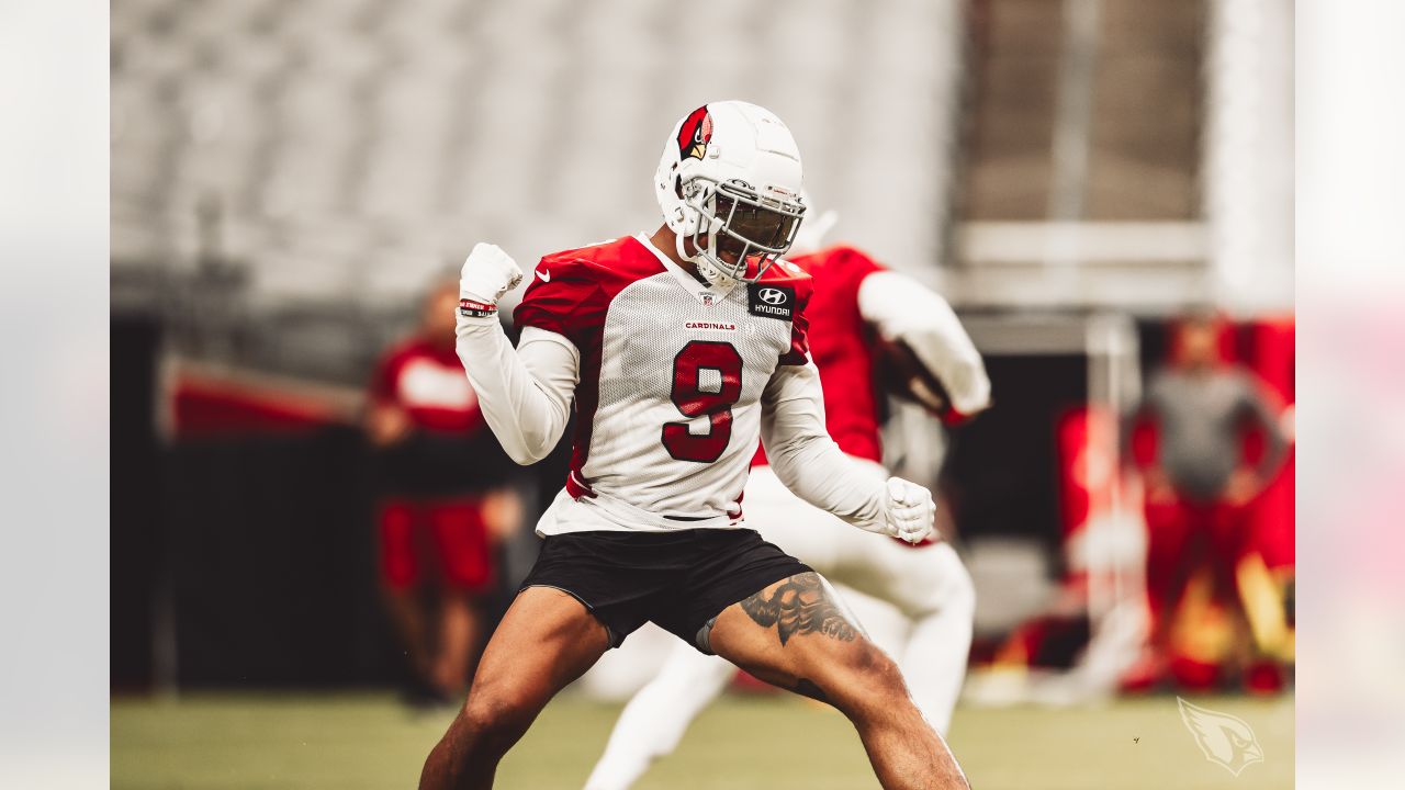 Cardinals LB Victor Dimukeje prides himself on doing the little