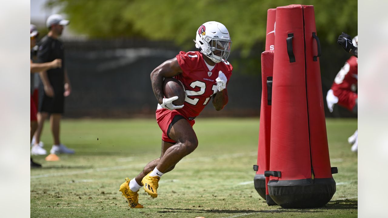 Arizona Cardinals running back James Conner will have a bobblehead night in  hometown