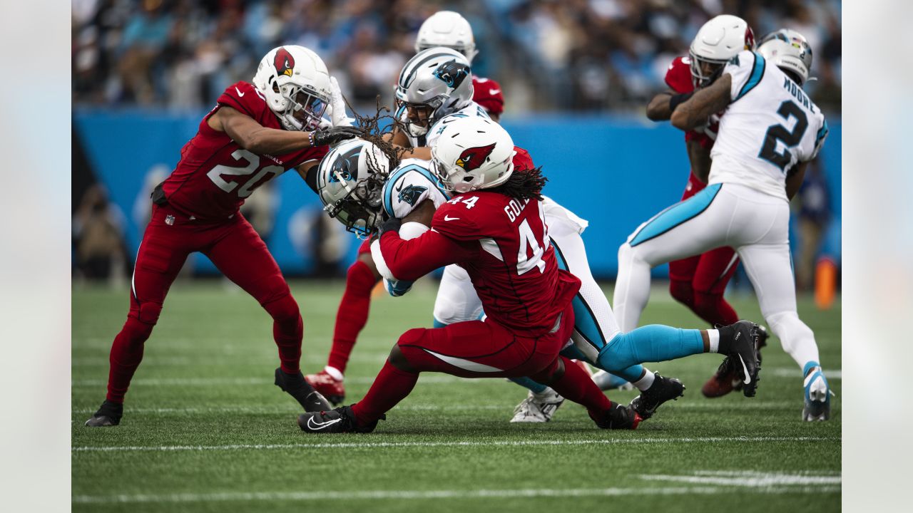 Carolina Panthers fall to the Cardinals 26-13