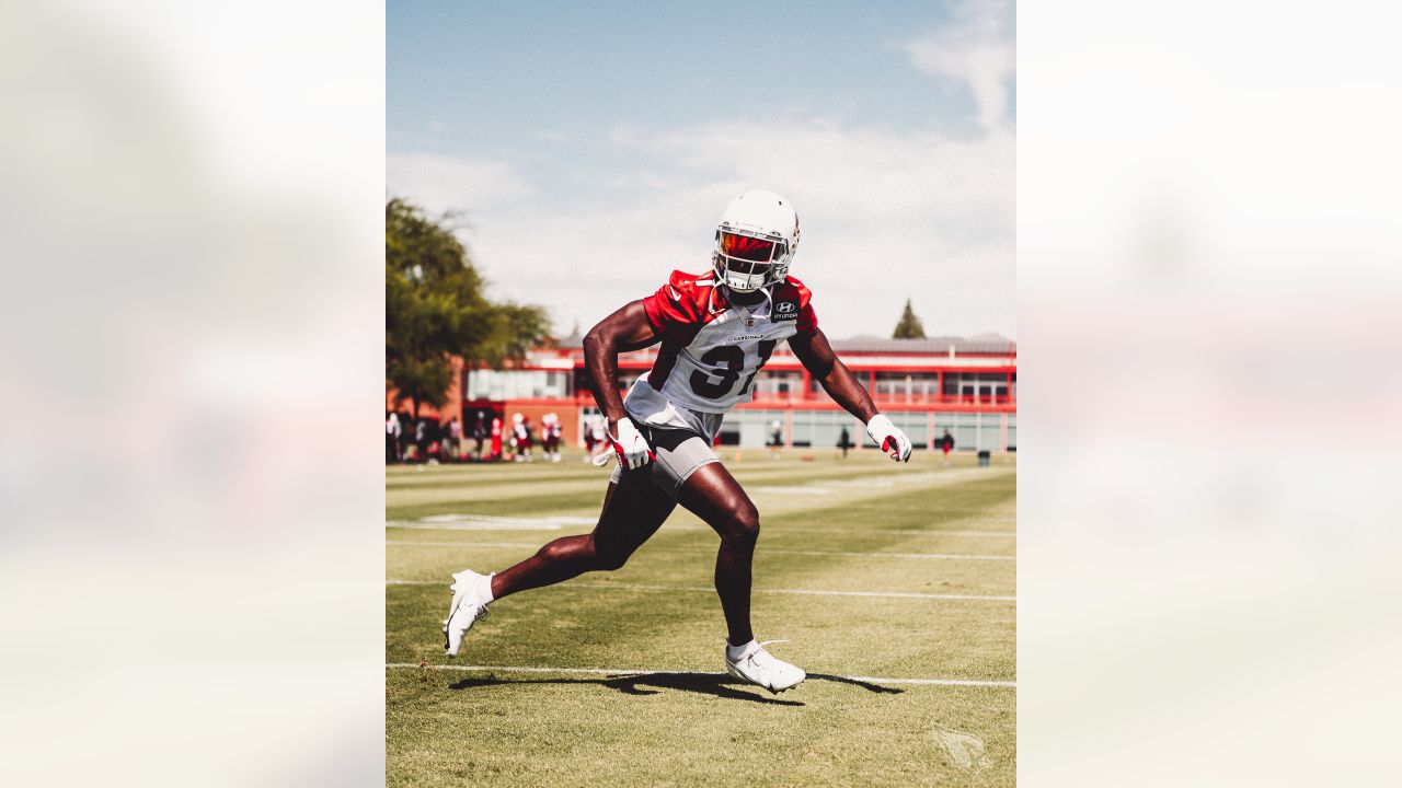 Bird Droppings: Zaven Collins arrested, Arizona Cardinals like running back  options, Green excited about pairing with Hopkins and more - Revenge of the  Birds