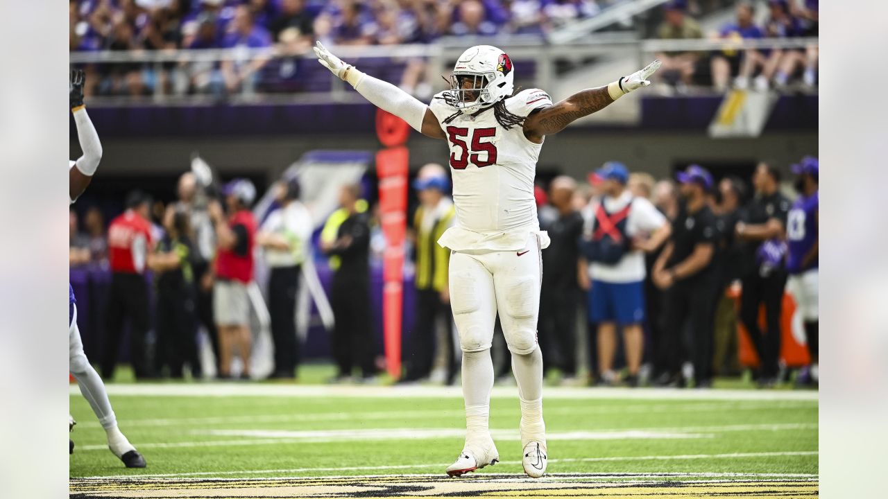 Arizona Cardinals vs Minnesota Vikings 2023 preseason game thread - Revenge  of the Birds