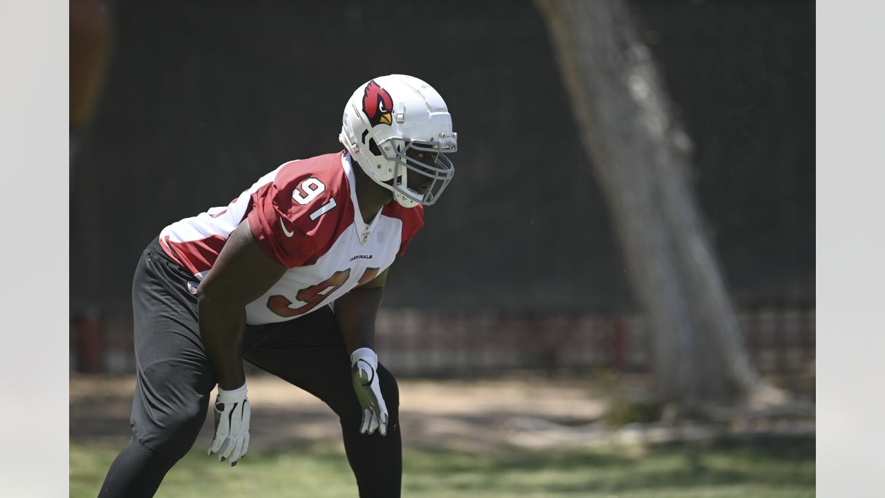 Cardinals Position Overview 2022: Running Back