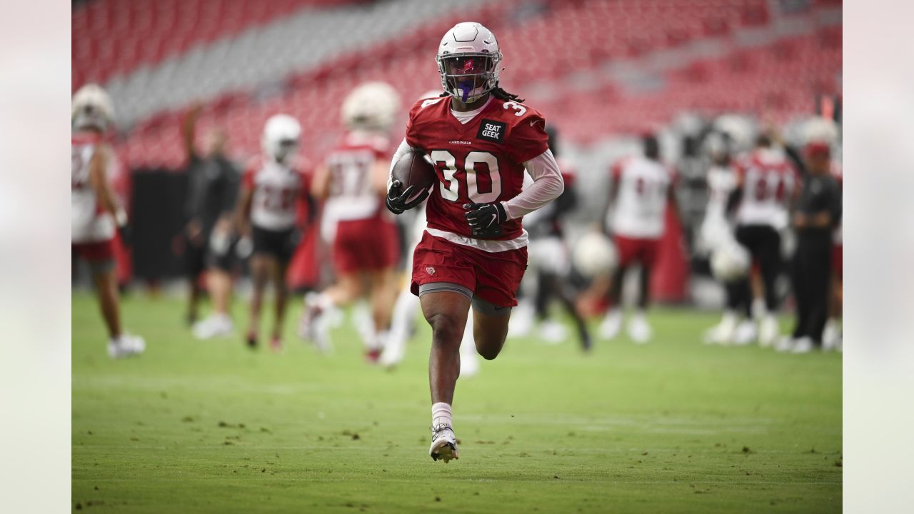 Cardinals RB Conner returns to Erie, PA area for youth football camp